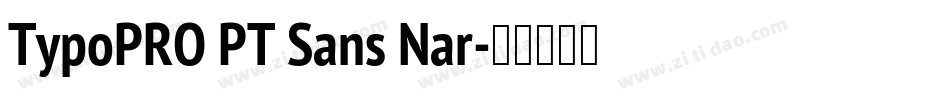 TypoPRO PT Sans Nar字体转换